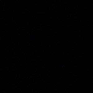 Meet your Posher, Sadie